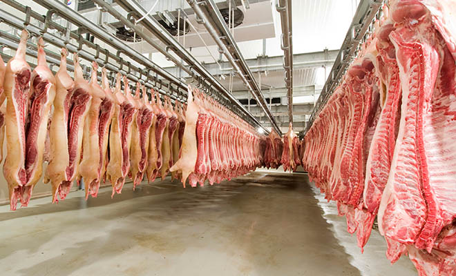 eaglepi_8_benefitsincomingmeatinspection_blog_featuredimage incoming meat inspection