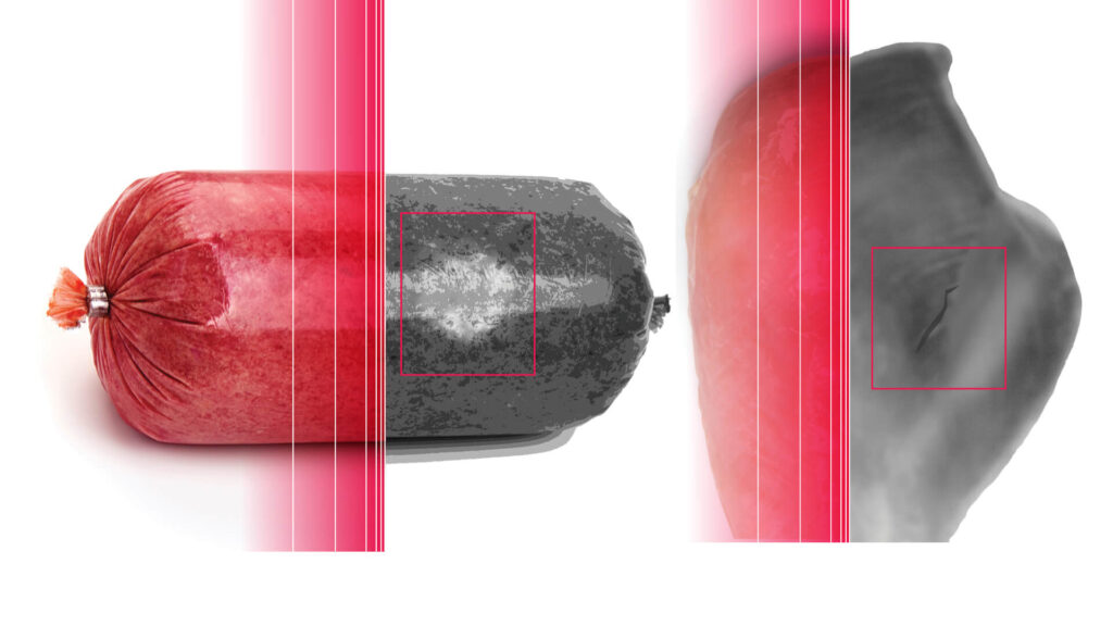 dual energy x-ray technology