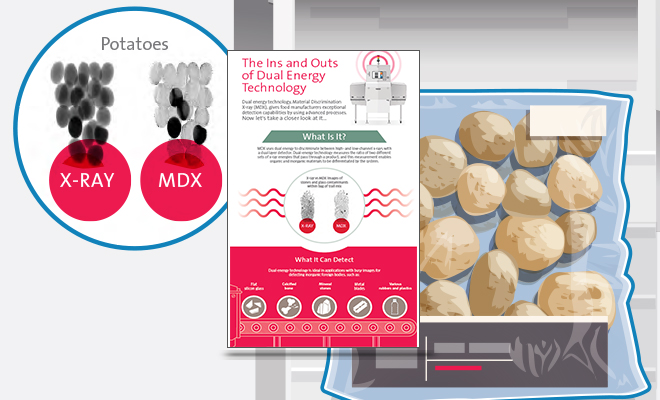 Dual Energy X-ray Technology for the Food Industry