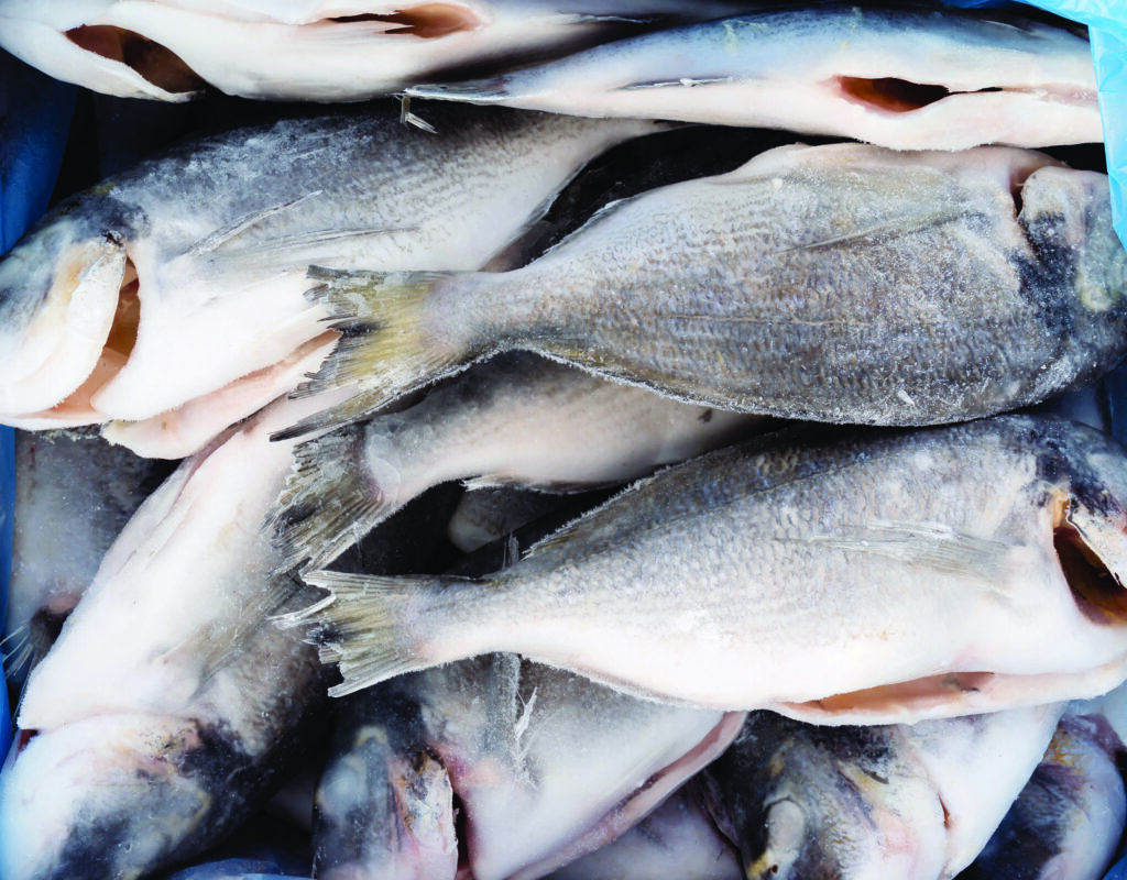 Advanced X-ray Capabilities for Seafood Inspection