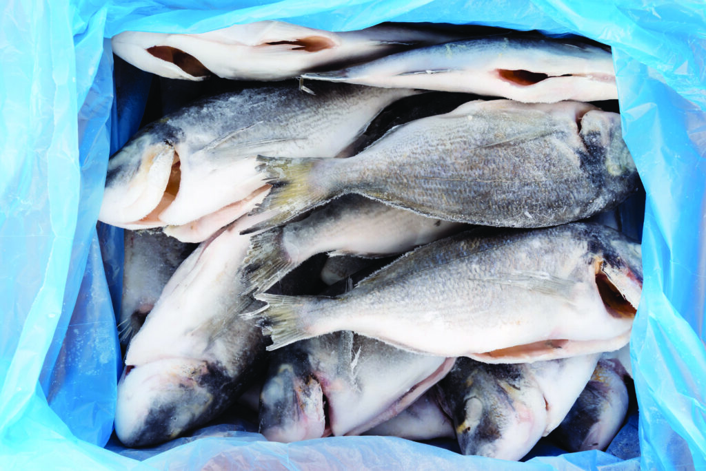 Lance uma rede maior em todas as suas aplicações de frutos do mar