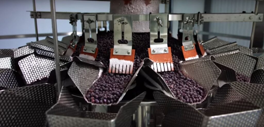Sorting blueberries on food line with EaglePI inspection system