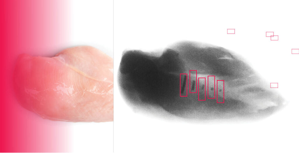 YouTube Video Preview