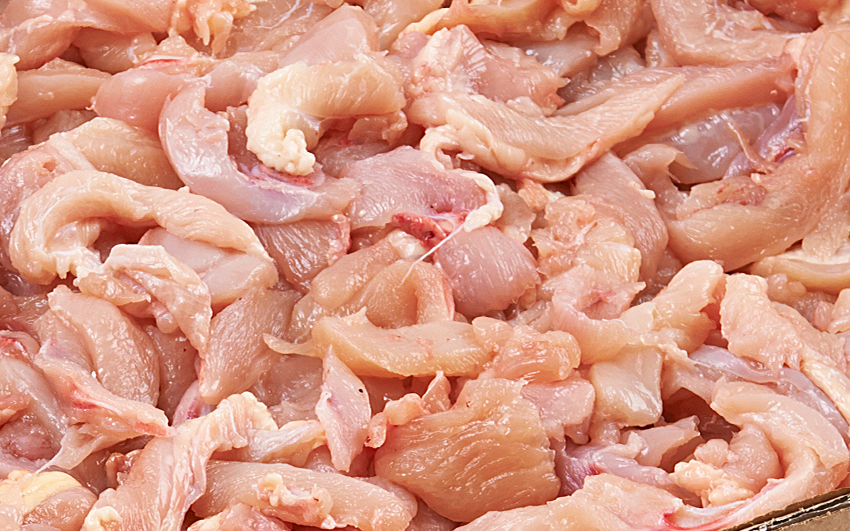 Chicken bone x-ray detection Eagle PI