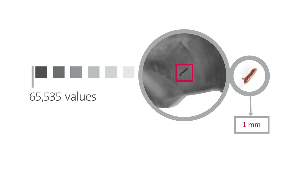 YouTube Video Preview