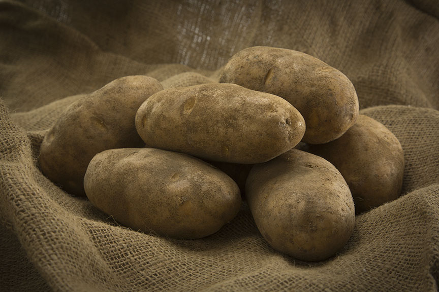 Mid-Isle Farms: X-ray Technology Combats Crop Sabotage