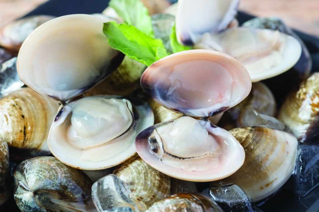 Inspección por rayos X de almejas cocidas a granel