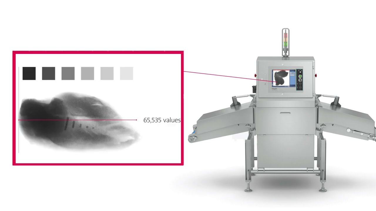 YouTube Video Preview