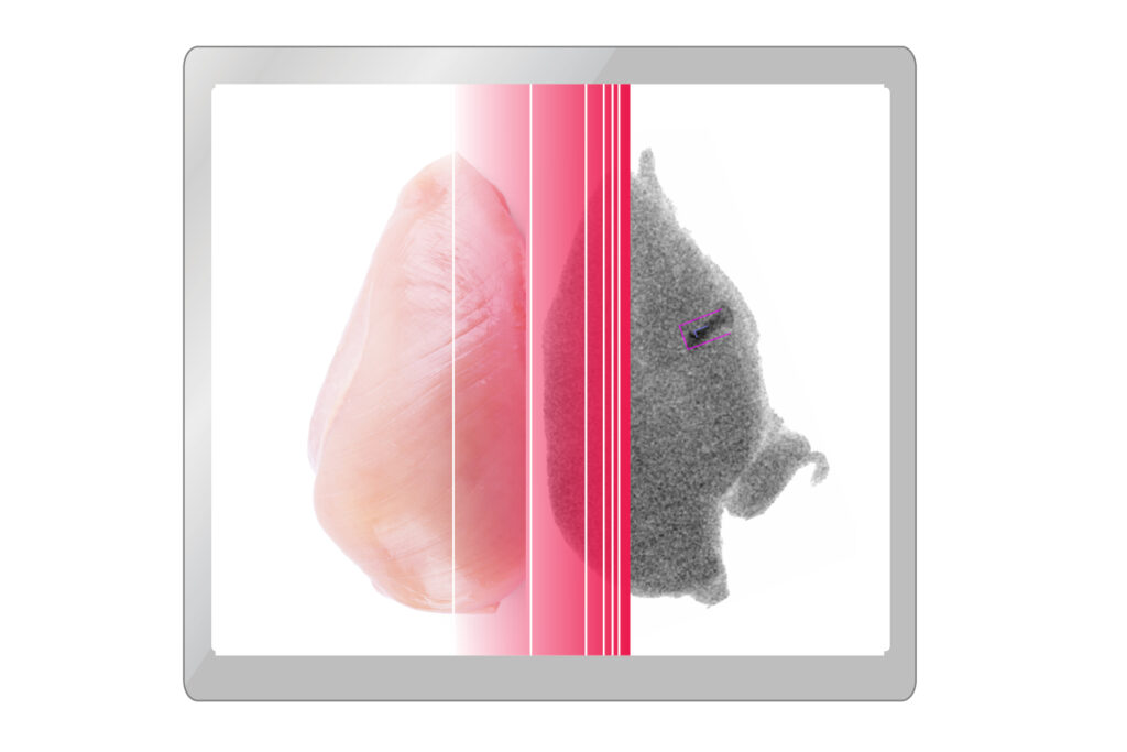 Chicken Breast X-ray Image Photon-counting