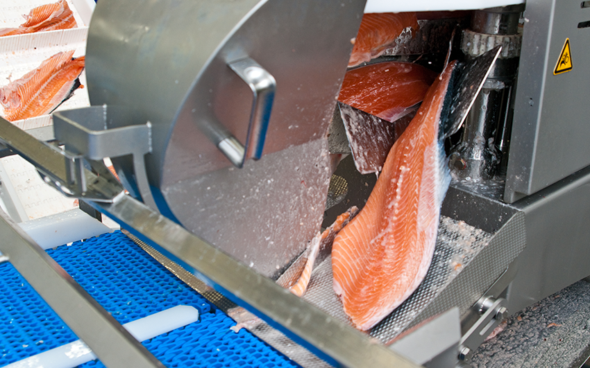 Maximiza la calidad y seguridad del marisco con la inspección por rayos X mejorada