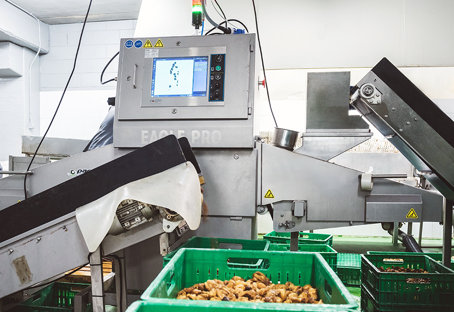 Eagle X-ray System Bulk 415