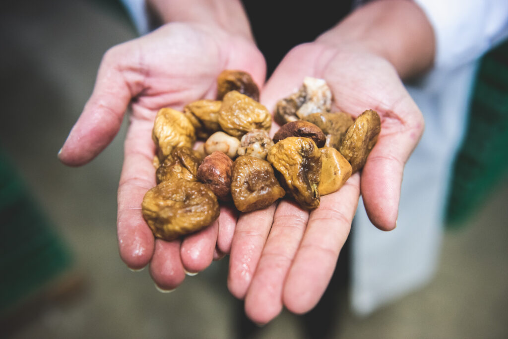 YouTube Video Preview