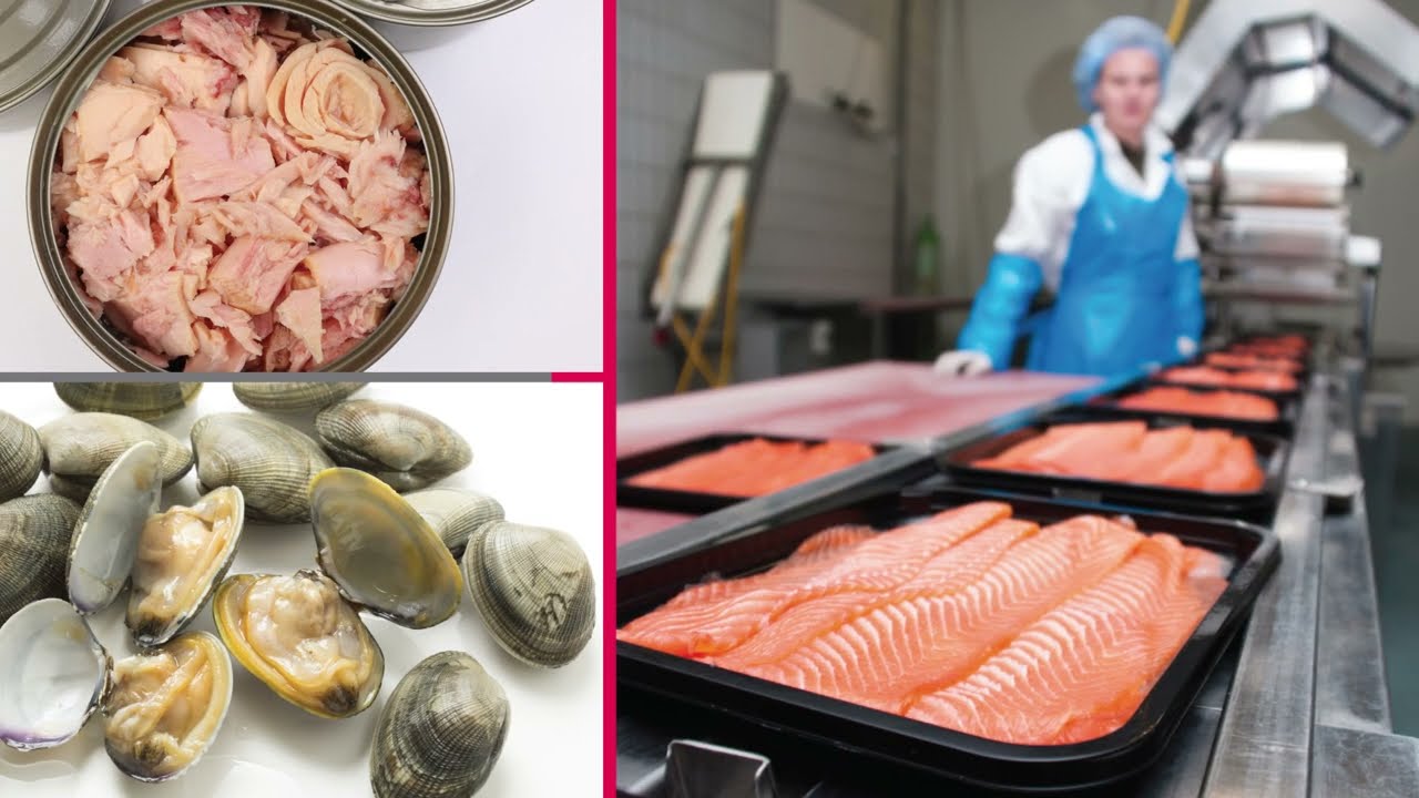 YouTube Video Preview