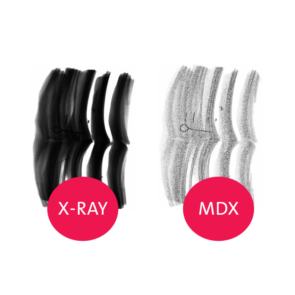 Dual Energy Meat Inspection