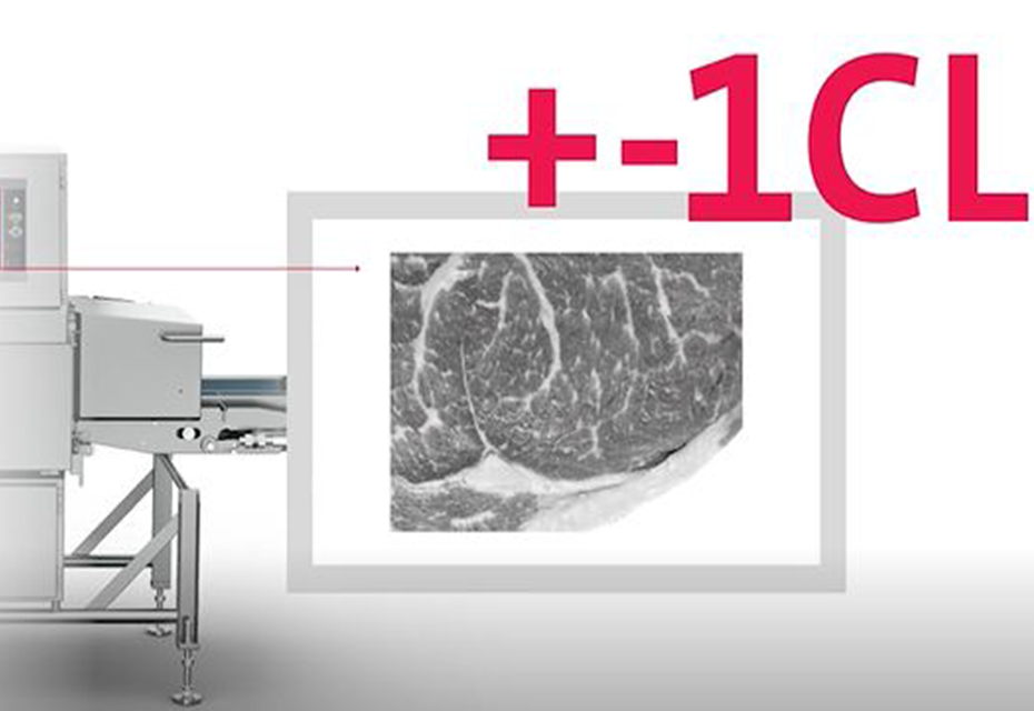 x ray food inspection